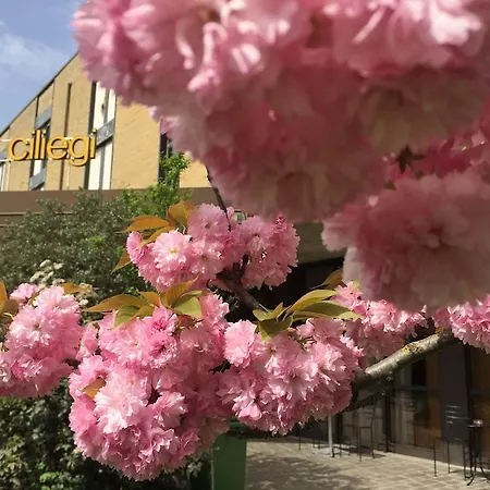 Hotel I Ciliegi Reggello